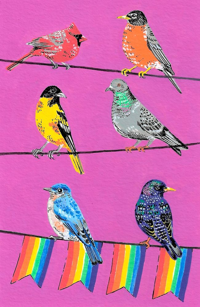 Artwork of six different colorful birds with pride flag bunting