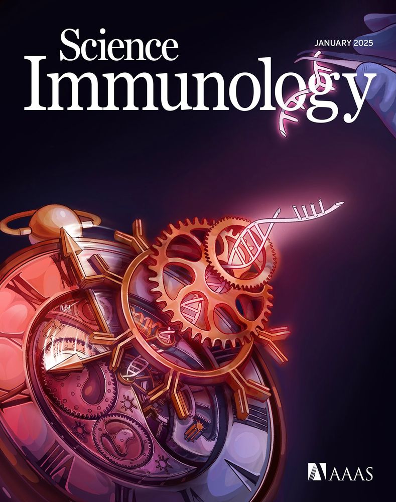 Reversing the Hands of Time.

Inflammaging is the age-associated increase in systemic inflammation, which can have negative effects on blood cell production and the immune system. Using a mouse model of premature hematopoietic aging, Ramalingam et al. identified thrombospondin-1 (Thbs1) as a driver of age-associated changes to hematopoietic stem cells (HSCs). Deletion of Thbs1 prevented HSC myeloid bias, loss of HSC self-renewal, and systemic signs of inflammaging in aged mice. This month’s cover illustration depicts the process of HSC inflammaging as a pocket watch. Thbs1 gene deletion causes the watch hands to move backwards, which reverses aging-associated HSC defects and turns back the clock on inflammaging.

Credit: Rioka Hayama