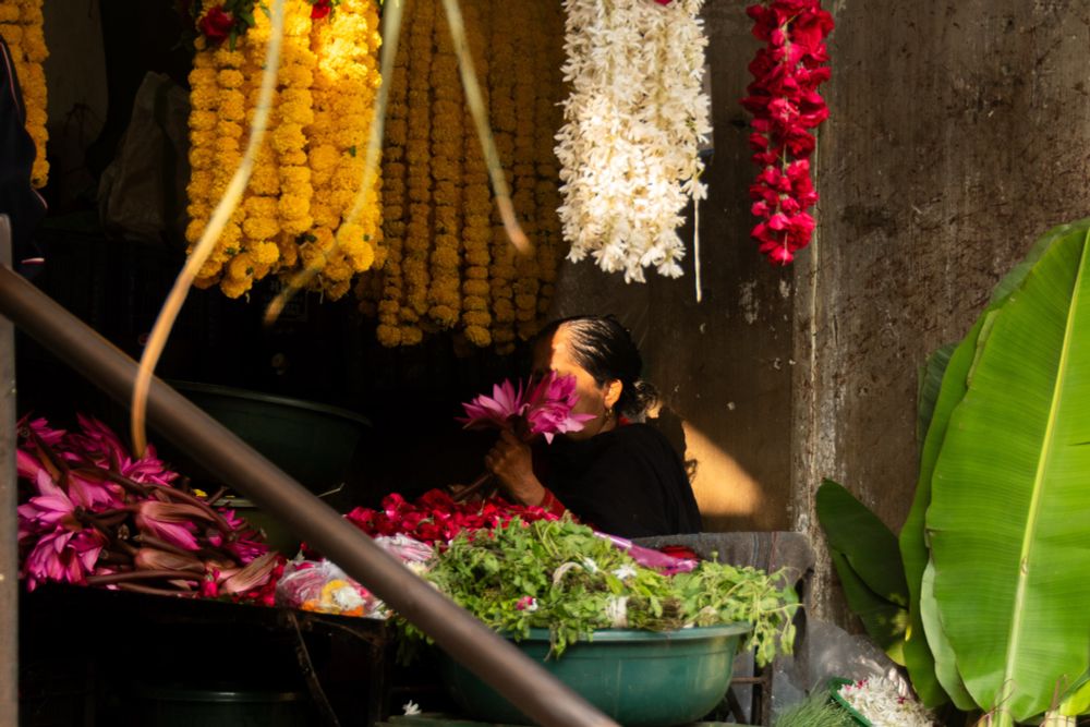 Photo of a women selling flowers in the main flower market (Khanderao market) in the Indian city of Vadodara. The woman’s face is partially covered with a Lotus flower she is holding in her left hand. She is framed by hanging flowers and a ray of sunlight is illuminating the side of her face 