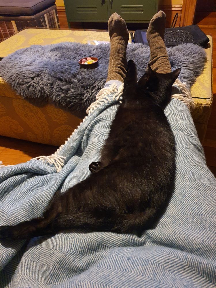 A big black cat, stretched along legs which are resting on a coffee table. He's on a blue herring bone blanket. Feet in socks are poking out the end. He's VERY relaxed.