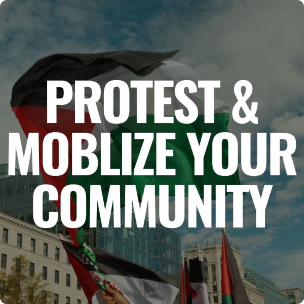 Protest for Palestine and mobilize your community! Find a protest near you in our Stop Gaza Genocide toolkit.