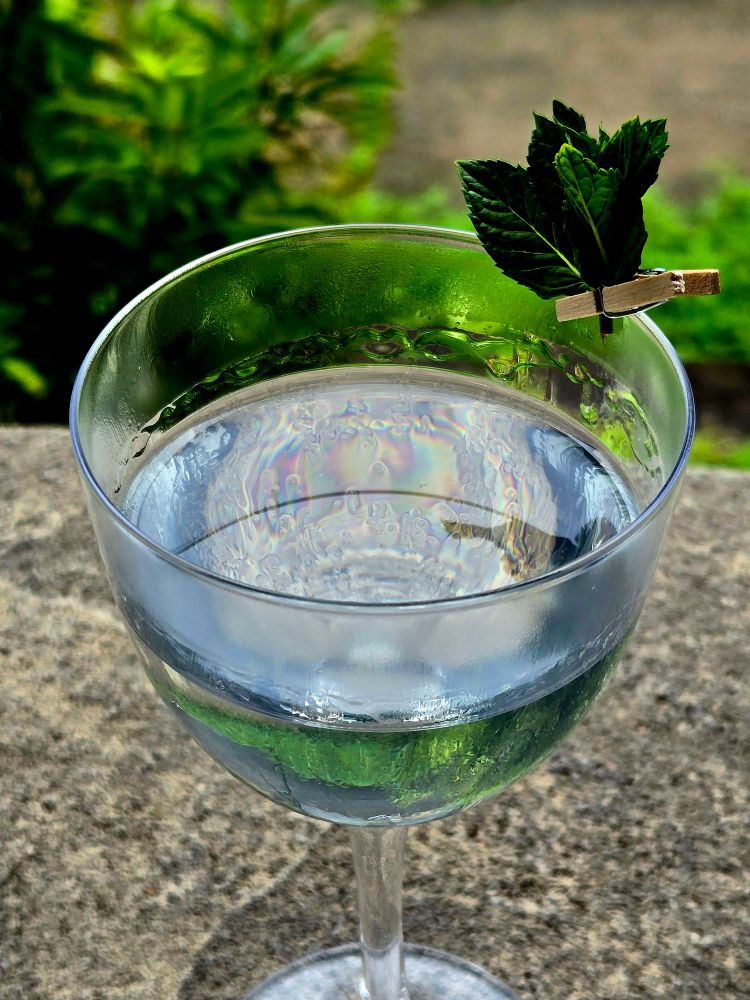 A Gin Gimlet in a Nick 'n Nora glass with mint garnish. 