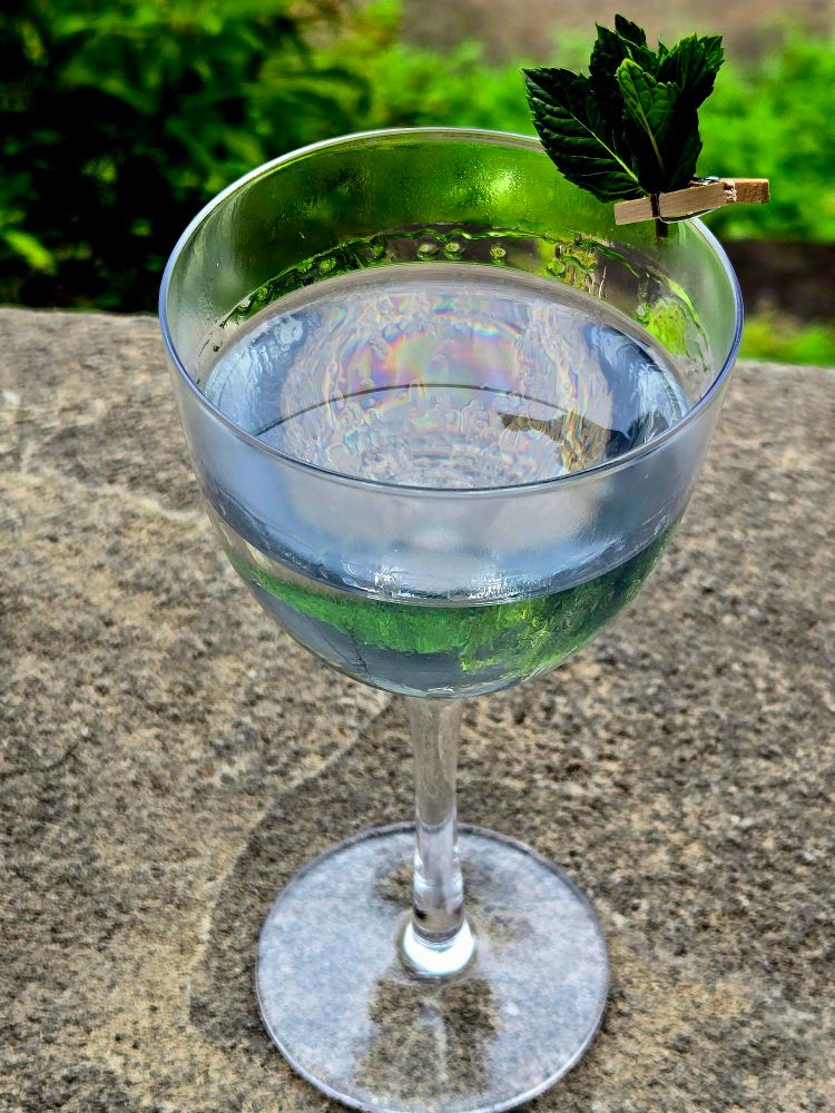 A Gin Gimlet in a Nick 'n Nora glass with mint garnish. 