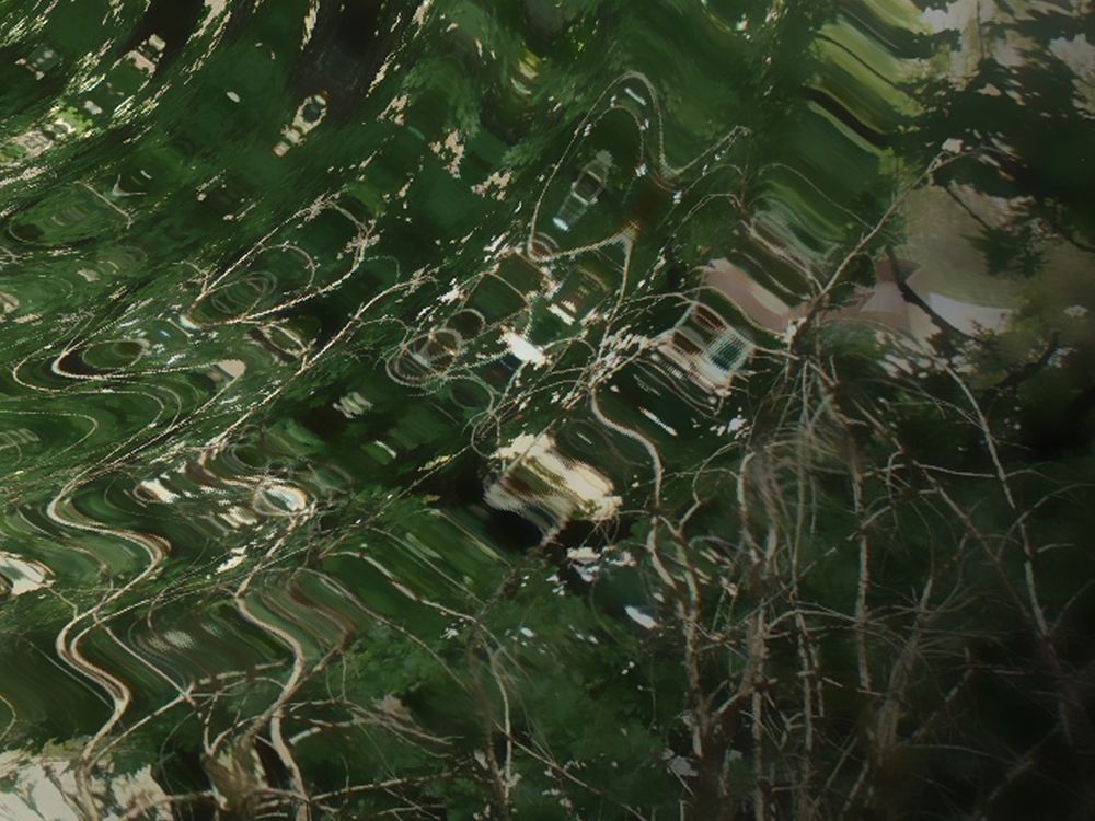 un montage d'une photo de forêt qui rend le tout bizarrement très électronique