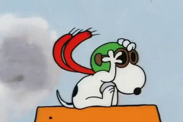 snoopy is wearing a helmet and scarf while sitting on a snoopy plane .