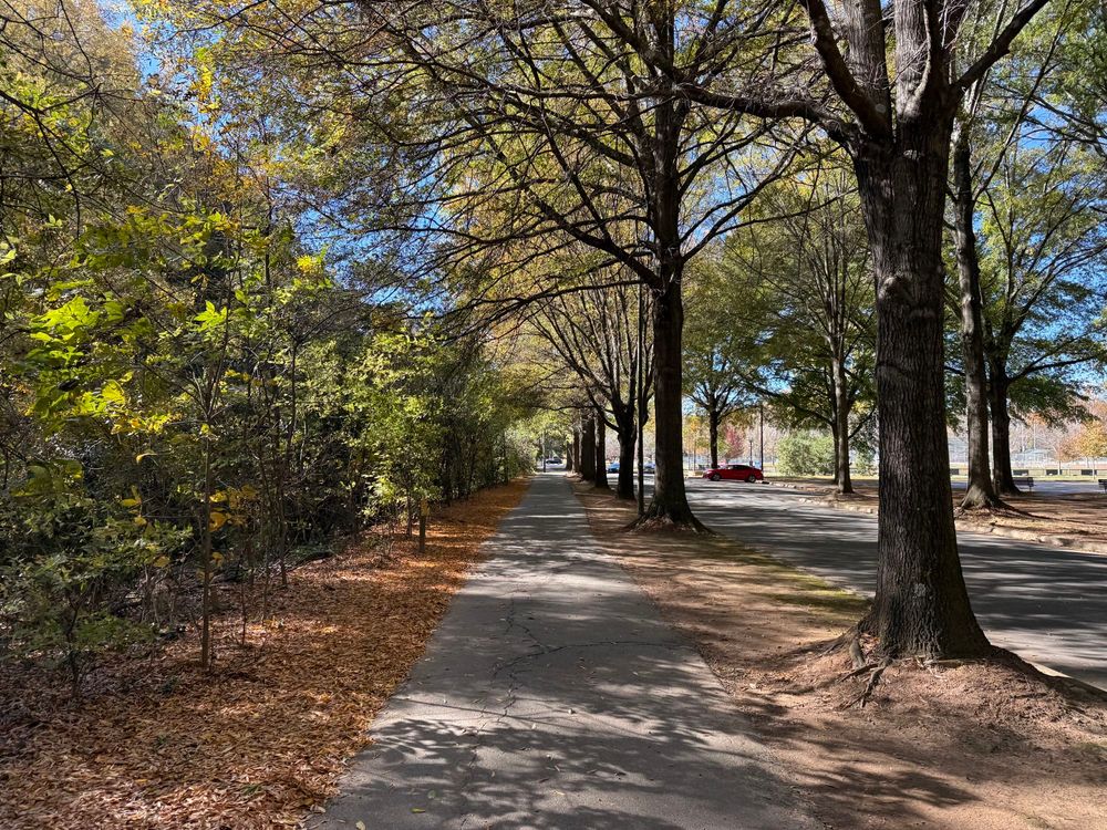 Freedom Park in fall