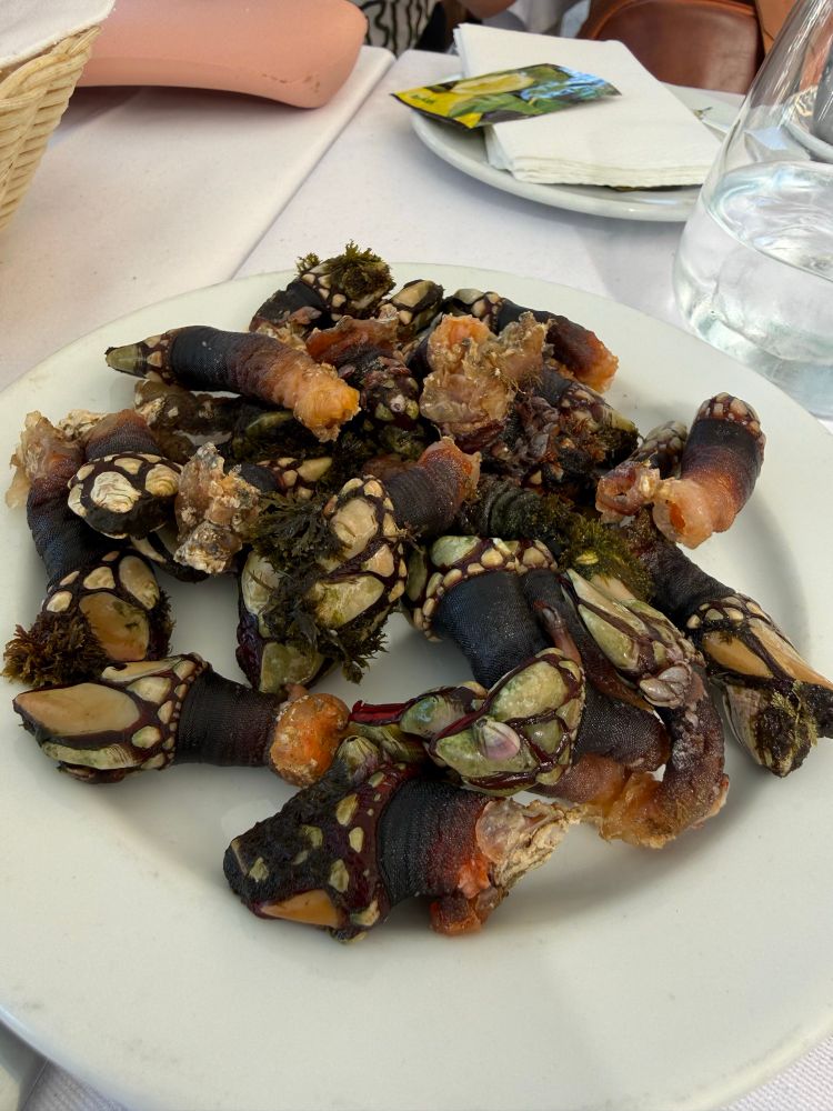A plate of goose barnicles