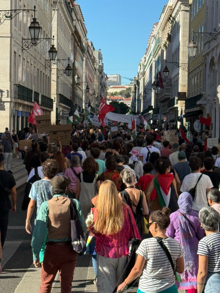 Free Gaza/Palestine protest on a Lisbon street 3