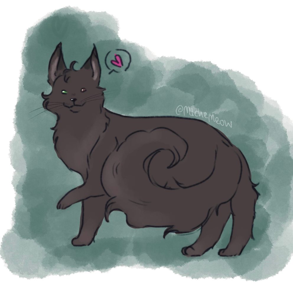 A color drawing of a black cat with a big, bushy tail and fluffy fur on her chest. The cat has heterochromia, with one green eye and one brown eye. The cat also has pointed ears. The cat is standing with the length of her body facing the viewer. There is an amorphous green blob behind the cat as a background. This is Itilse as a cat.