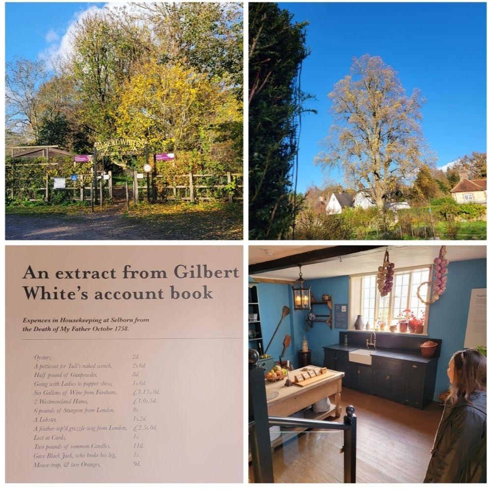 Entrance to the museum and gardens.
A tall tree in the kitchen garden.
The kitchen with many old items.
An extract from the accounts of 1758