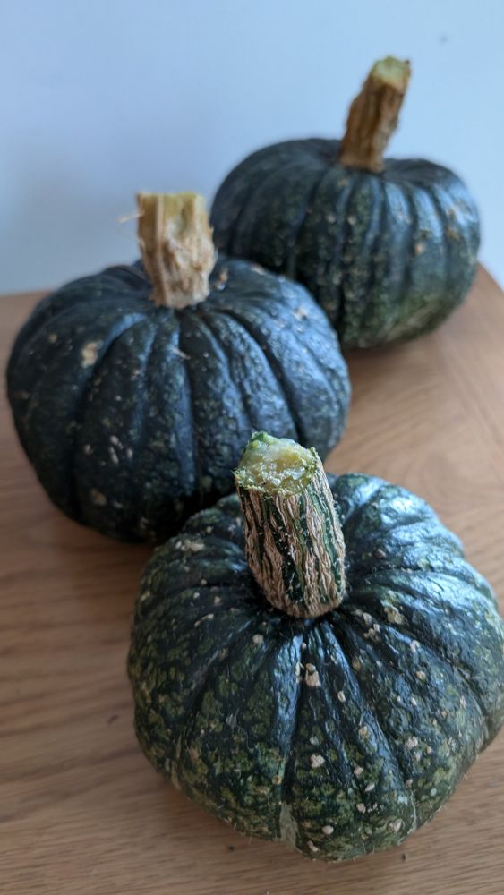 Three green kabocha pumpkins on a table