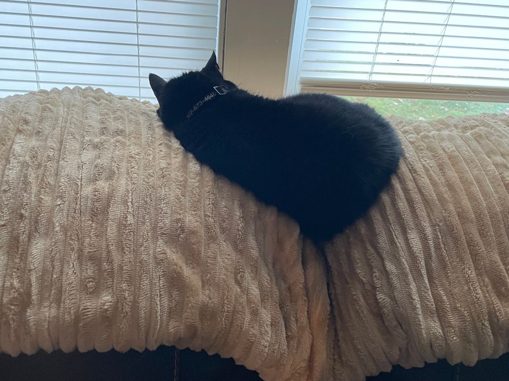 Black cat snoozing on a tan heated blanket.