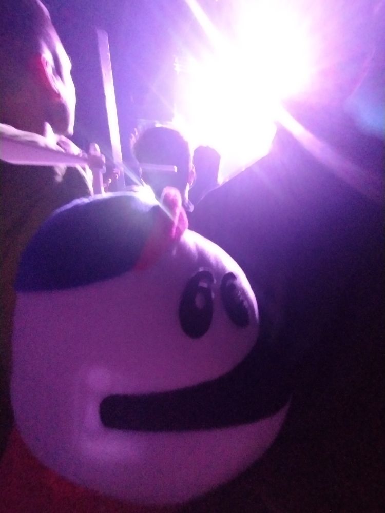 Homestar Runner in the crowd of a TMBG concert