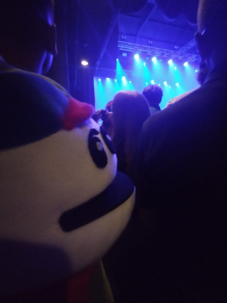 Homestar Runner in the crowd of a TMBG concert
