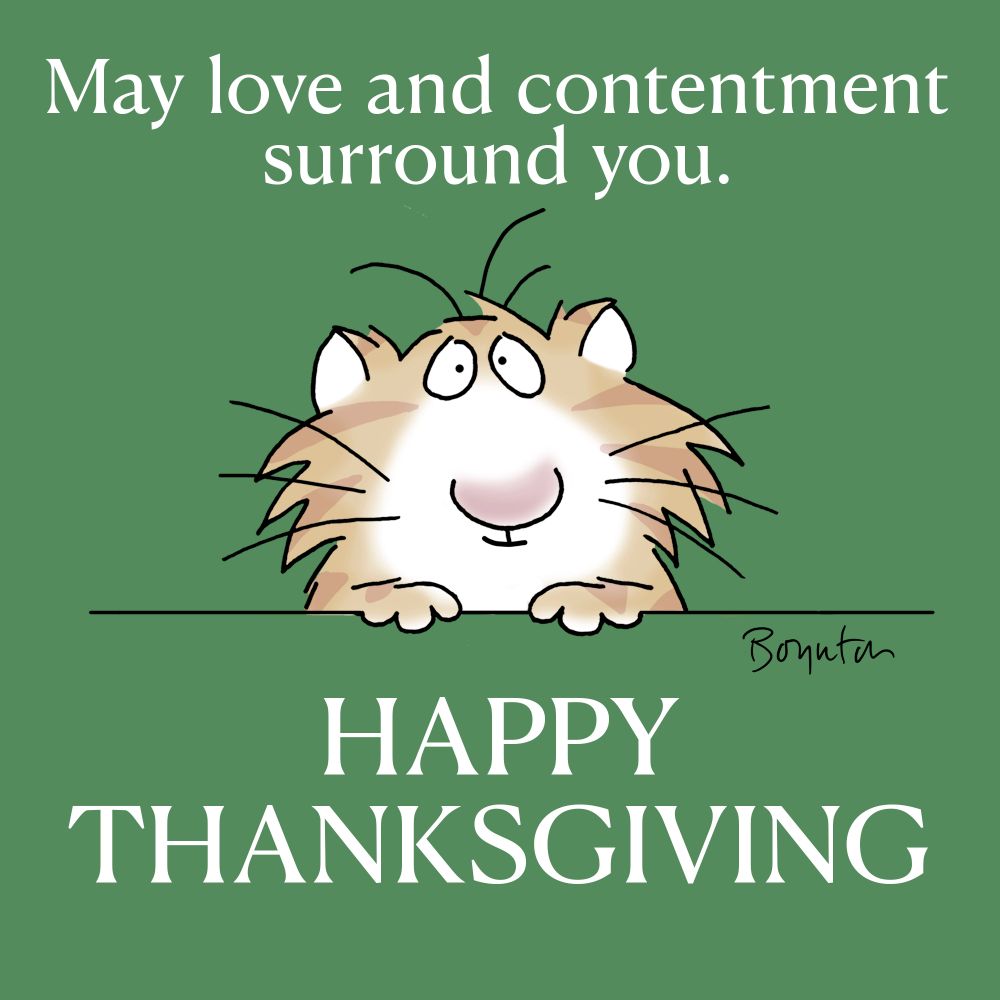 Sarah Boynton picture of a cat wishing everyone a Happy Thanksgiving 