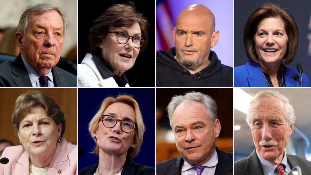 From top left: Democratic Sens. Dick Durbin, Jacky Rosen, John Fetterman and Catherine Cortez Masto. From bottom left: Democratic Sens. Jeanne Shaheen, Maggie Hassan and Tim Kaine, with independent Sen. Angus King. They should all have Democratic challengers when they are up for reelection! 