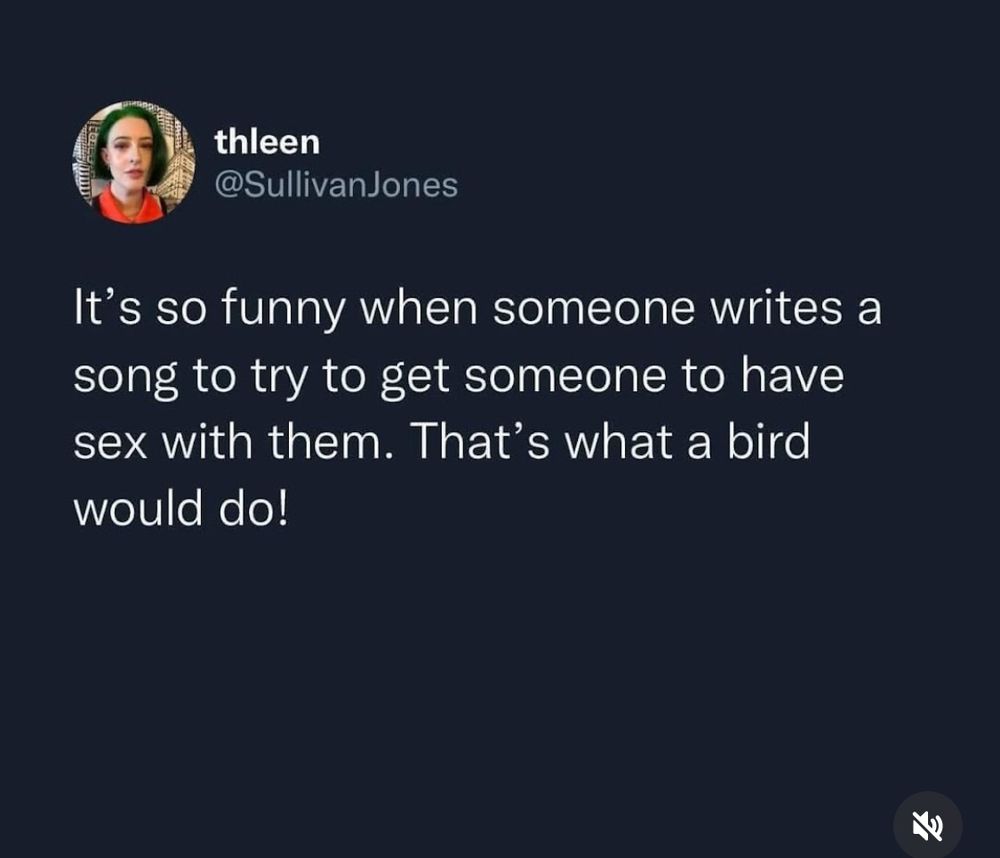 My old tweet from like 2022: 
It's so funny when someone writes a song to try to get someone to have sex with them. That's what a bird would do!