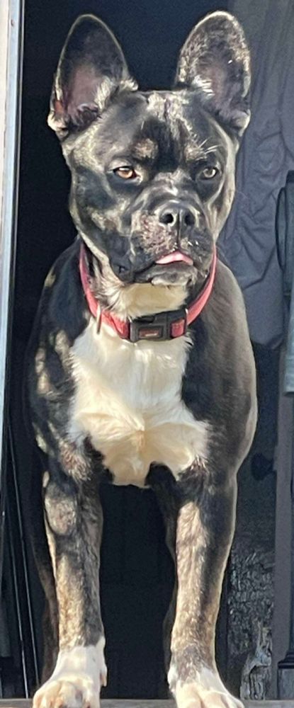 Billie Ruffian sticking his tongue out