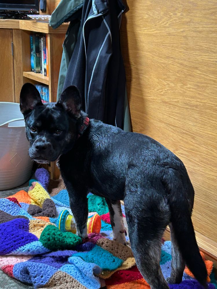 Billy fell in the canal