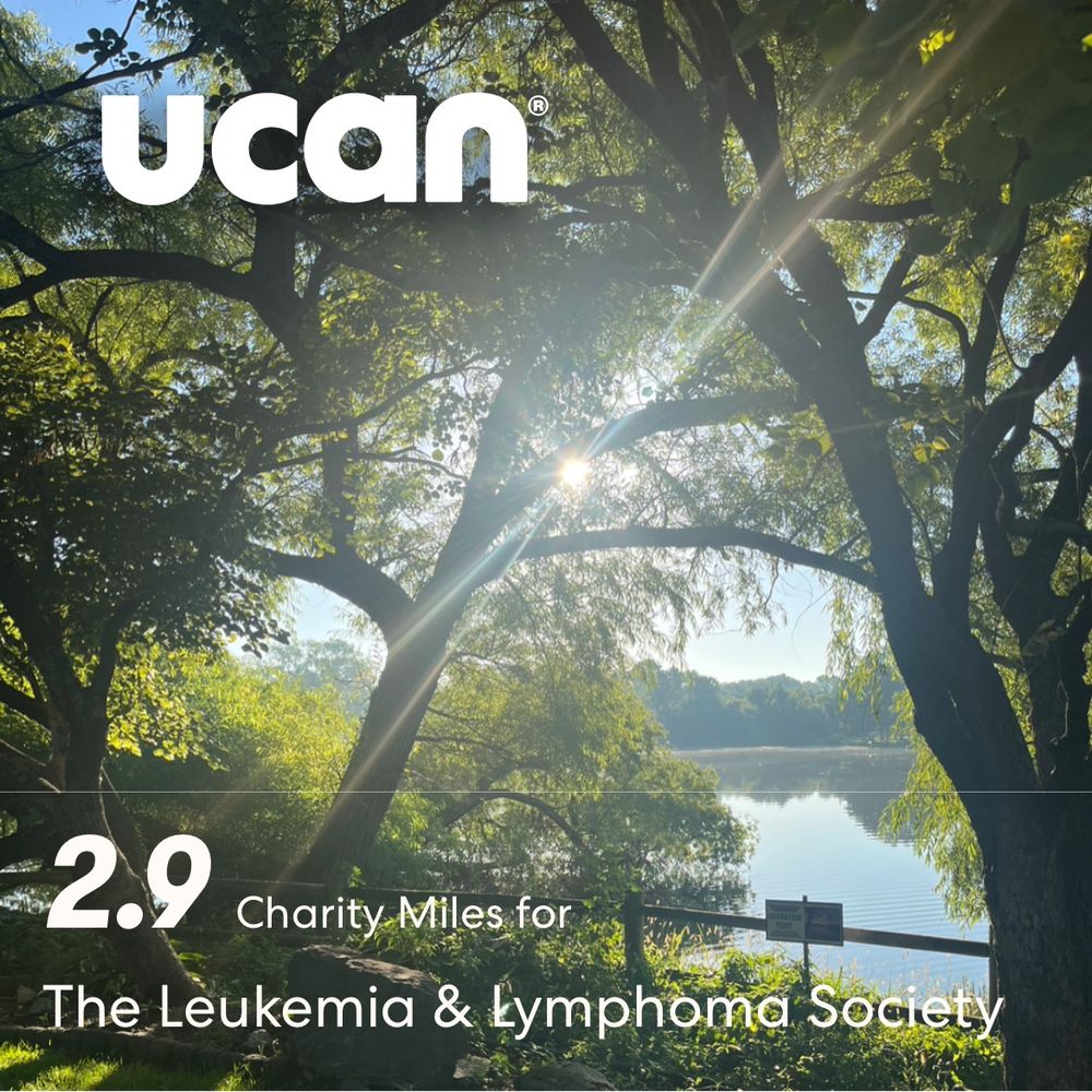 Sunlight shining through trees in front of a lake.