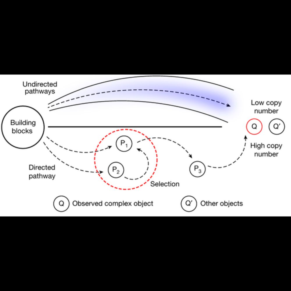 Assembly Theory is Cool ...