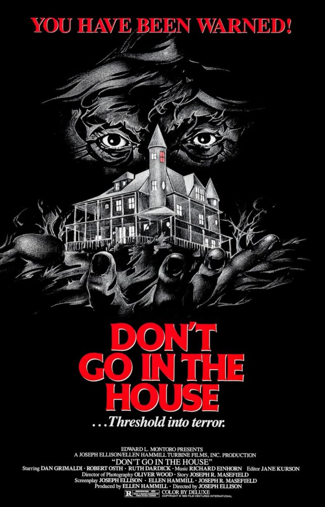 Movie poster for Don't Go in the House