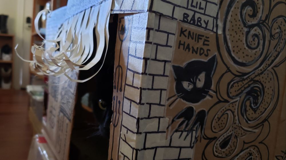 A photo of a black cat peeking out of a cardboard fort, decorated with a drawing of a scowling cat, and "Lil Baby Knife Hands" written on the side.