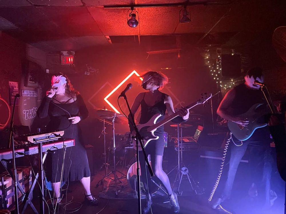 A colour photo of Waxlimbs in 2024