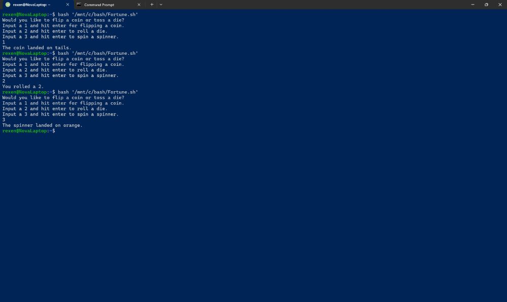 A screenshot of Mint outputting the results of a bash script. 