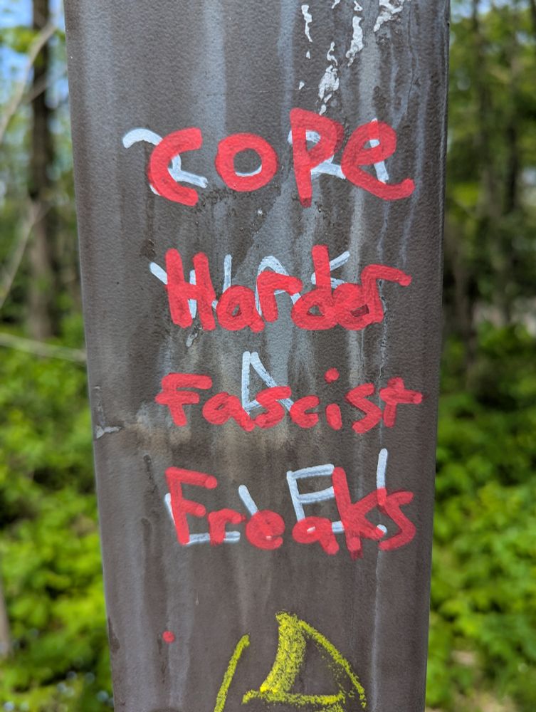 "cope harder fascist freaks" written over graffiti that said "(unreadable) was a lie!"