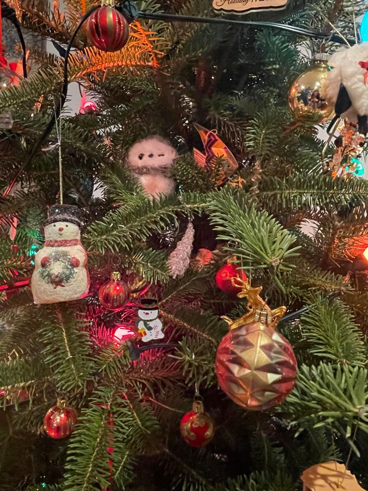 A close up of a Christmas tree that had multiple ornaments on each branch. 