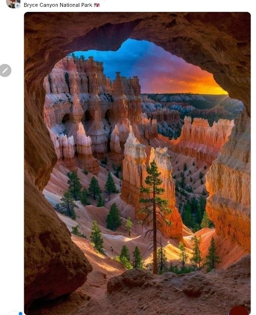 Comment image
