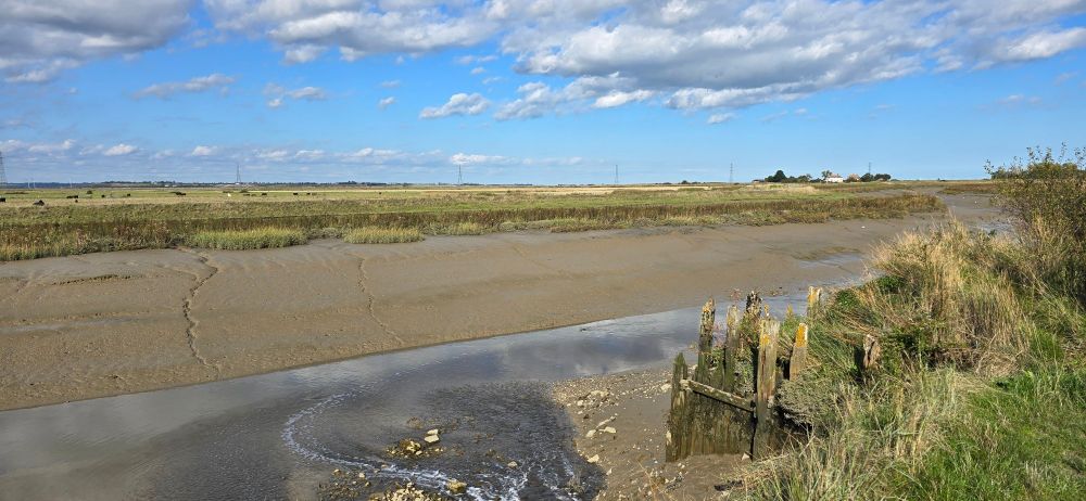 Scene of Faversham Creek. Sewage Farm outflow, often quite a productive viewpoint