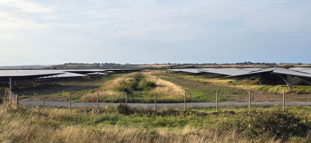 Wild area sandwiched between areas of the solar farm. It was from here that I watched two family groups of Stonechat and a couple of Common Whitethroat this evening in addition to a flyover Peregrine.