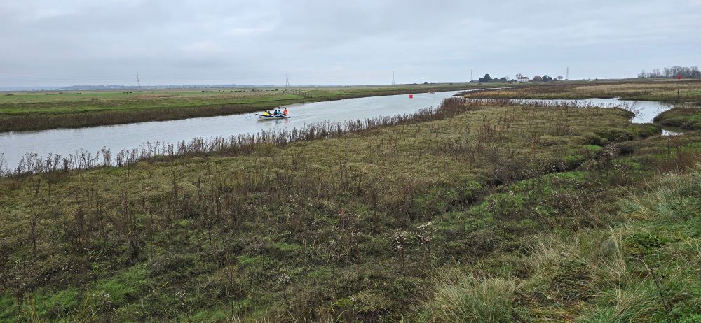 Other users of the creek rowing by. Although not in the photo, a Kingfisher had just spent time along the outlet of Thorne Creek on the right.