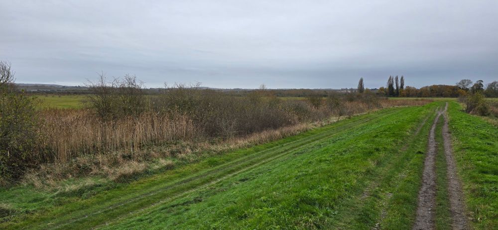 Viewing South East, from eastern bank of Faversham Creek 