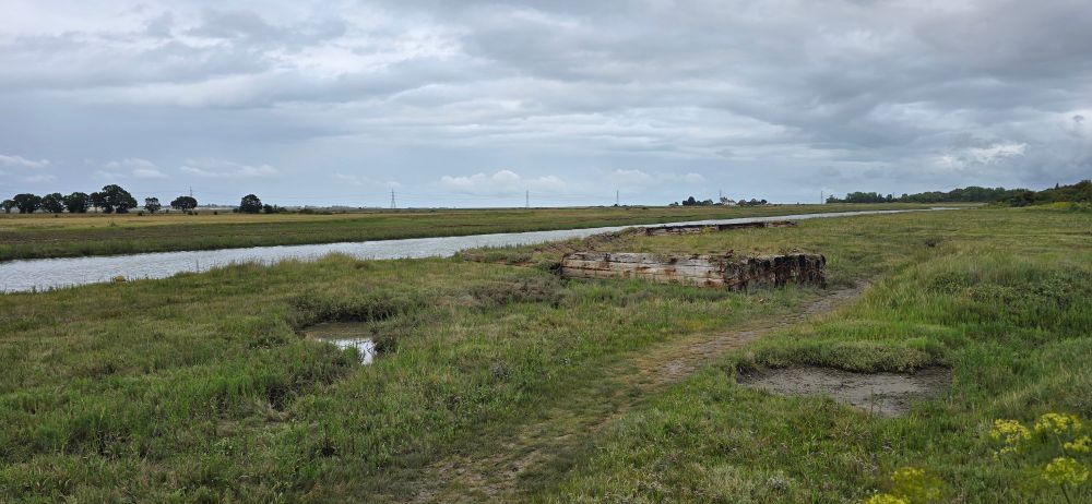 Viewing towards Ham Marshes across Faversham Creek 