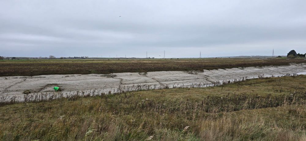 Viewing North towards the Swale Channel (not visible), from eastern bank of Faversham Creek 