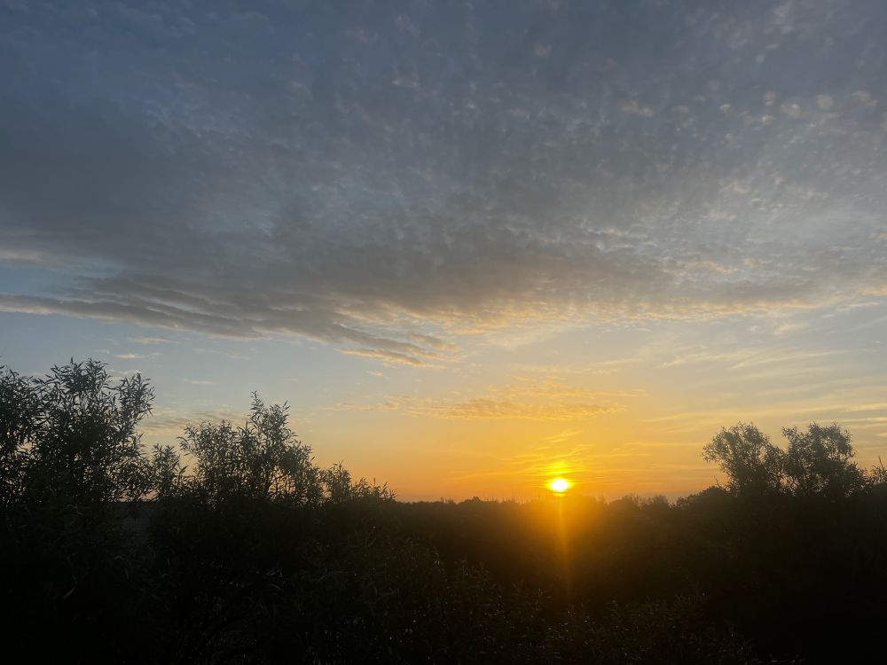 Low autumn sun in a cloud dappled sky over silhouetted trees. 