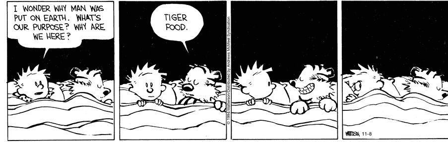 Calvin and Hobbes comic strip. Both in bed. Calvin 'I wonder why man was put on Earth. What's our purpose? Why are we here?' Hobbes 'Tiger food'. Hobbes grins. Calvin turns over with an suspicious/worried look back at Hobbes.
