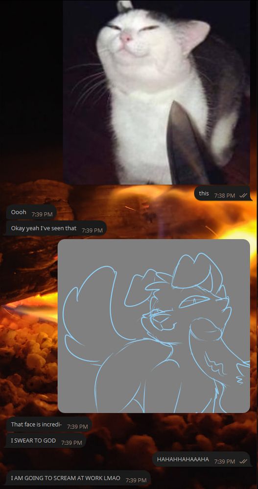 screencap of a telegram chat showing the meme of a cat squinting down at a brandished knife, followed by a quick sketch of a dog character squinting at a dick in the same pose