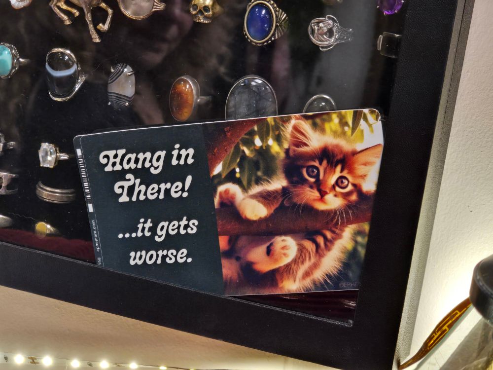 A postcard with a cat hanging from a tree branch. It says 'Hang in there! It gets worse.'