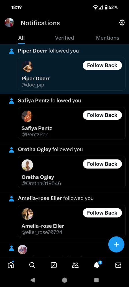 A succession of recent twitter followers, every single one a half naked woman with a username featuring what can only be described as a bunch of numbers.
