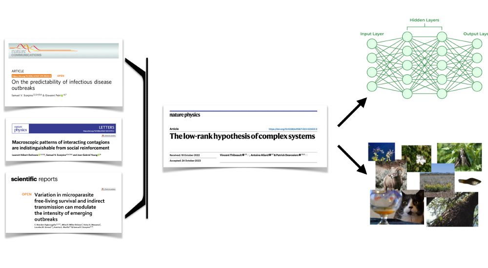Screenshot shows three papers connecting into a paper on the low-rank hypothesis of complex systems connecting to a neural network and collage of pictures of plants and animals
