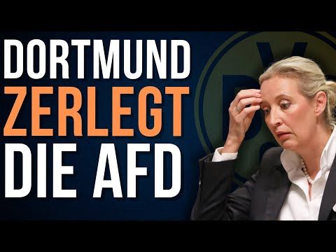 So grandios wurde die AfD von Borussia Dortmund zerlegt