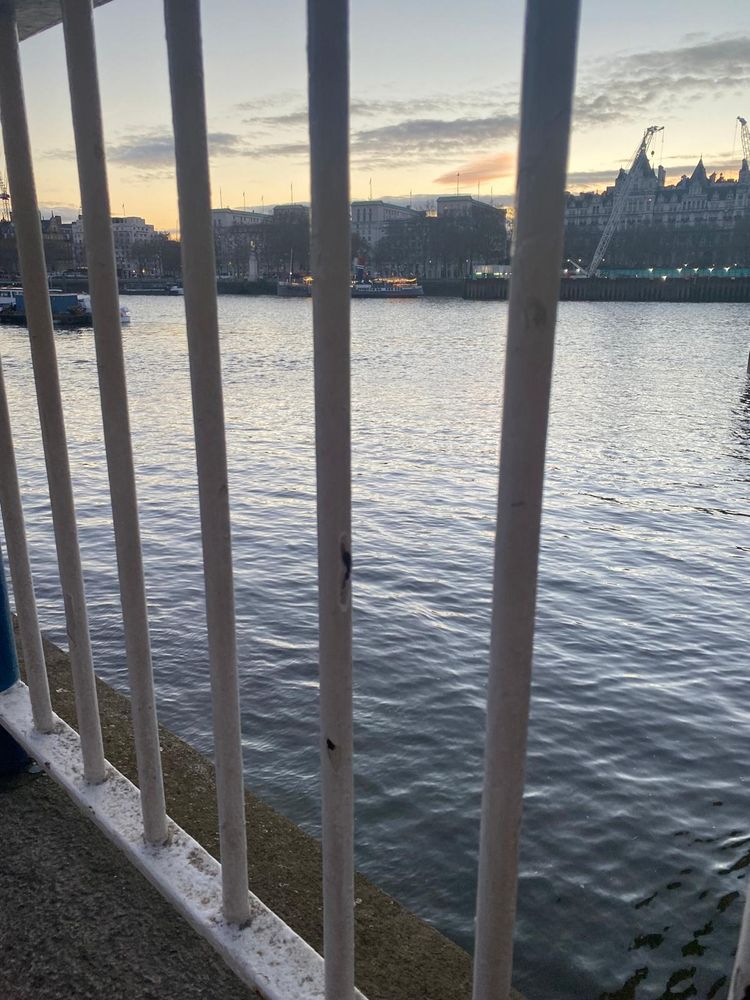 A river, buildings on the bank, seen through bars, under a greyish/faintly yellow sky with a light dusting of cloud. 