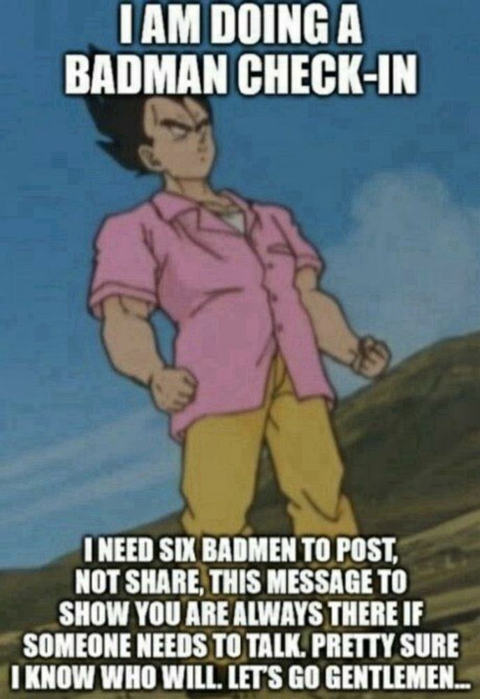 A meme of Vegeta with it written in white text: 

"I am doing a Badman check-in" 
"I need six Badmen to post, not share, this message to show you are always there if someone needs to talk. Pretty sure I know who will. Let's go gentlemen...". 