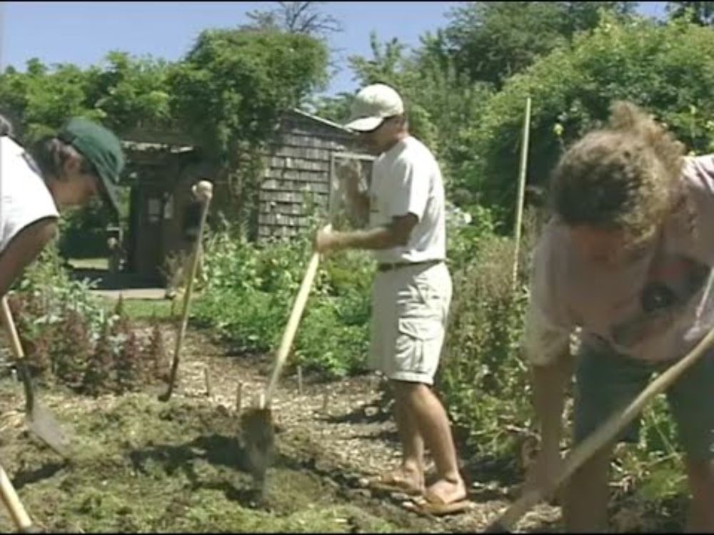 The Urban Farm - some history