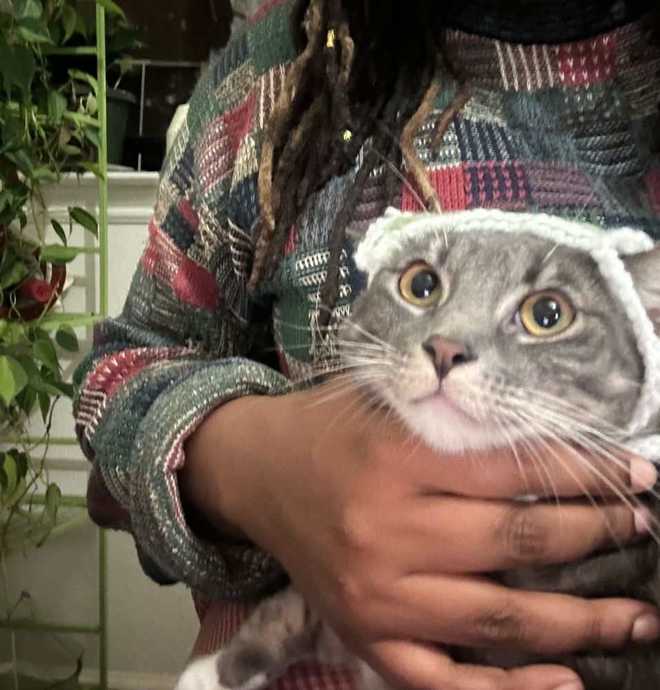 Junie, a gray and white striped cat, with a crocheted bandana on her head being held by me