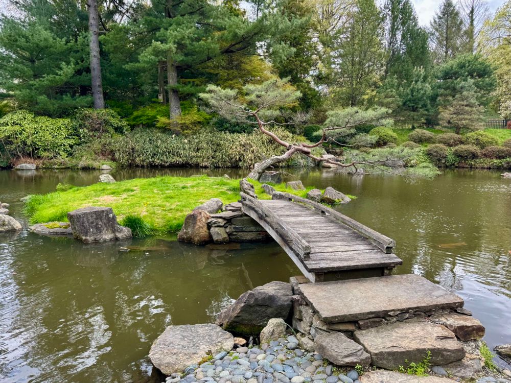 A small island inside a Japanese garden.